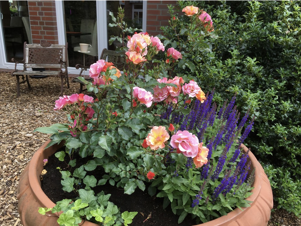 coffee and-coffee-beans